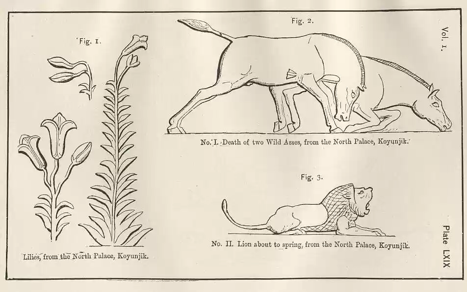 plate069